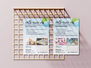 Folleto Msoluciona