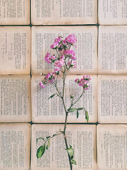 flor encima de unos textos